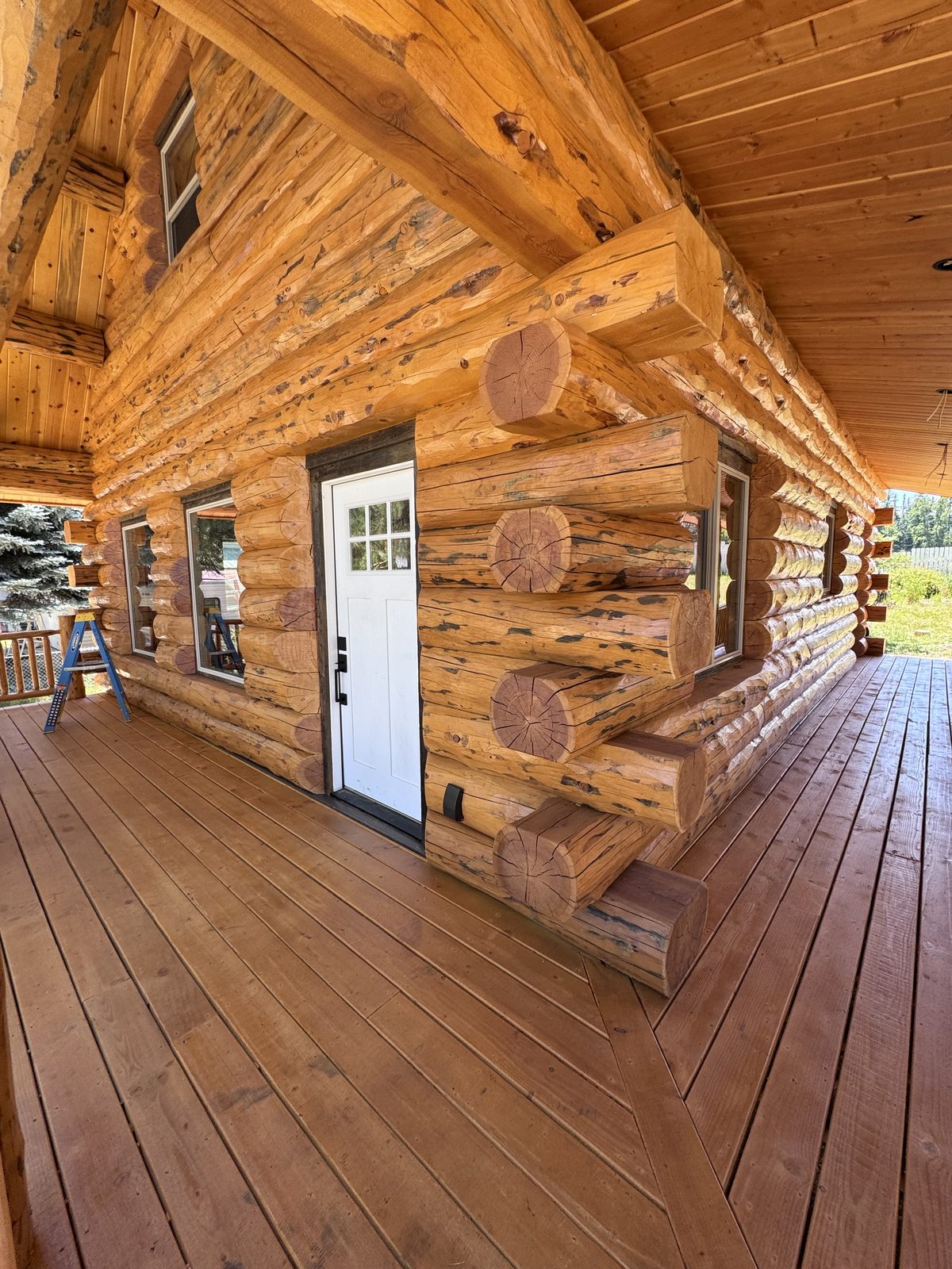 Full exterior stain on Meadowlark log home, Libby MT